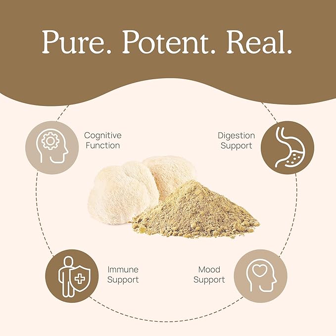 Lions Mane Mushroom Cognition  – Lion Mane Mushroom recenzja i cena