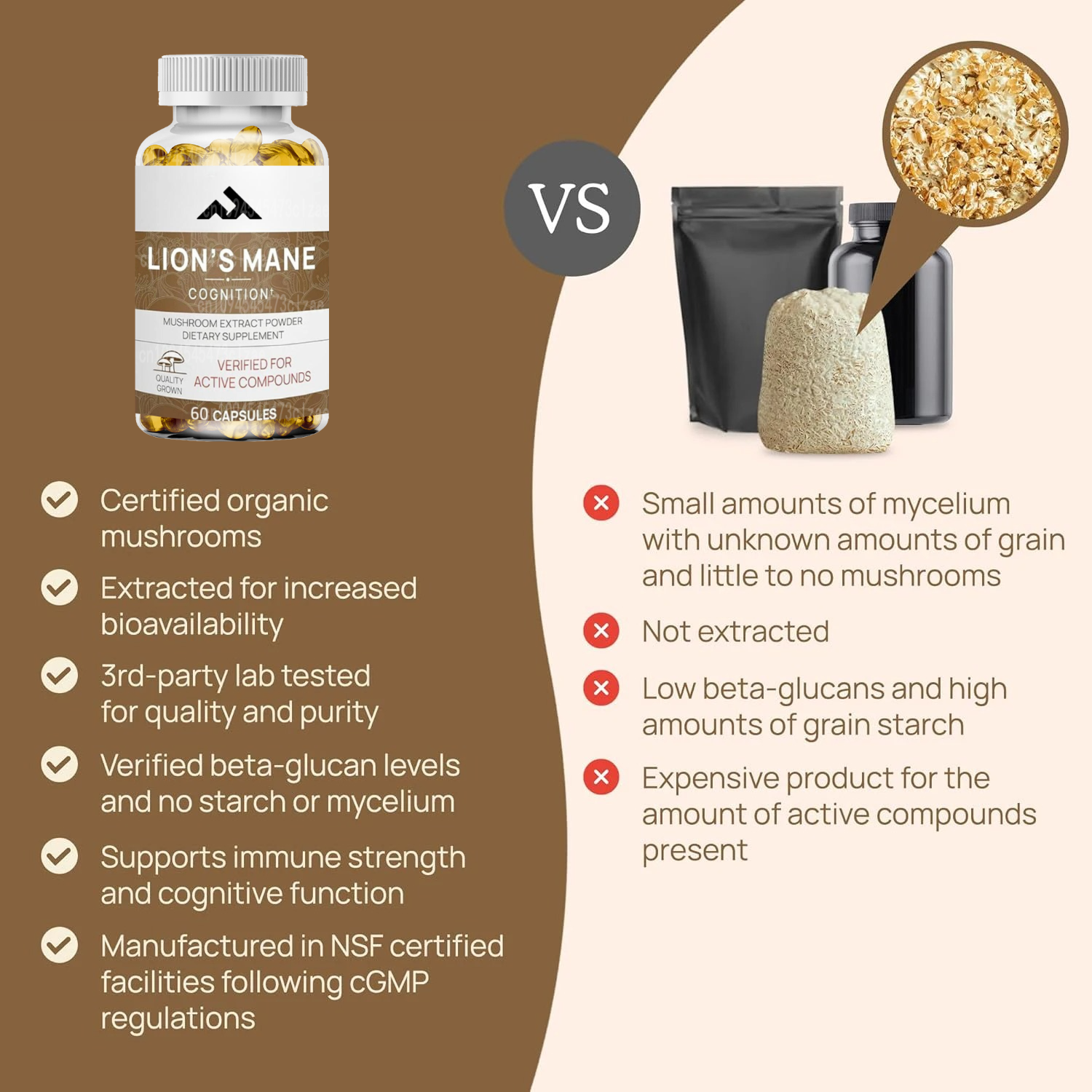 Lions Mane Mushroom Cognition  – Lion Mane Mushroom recenzja i cena