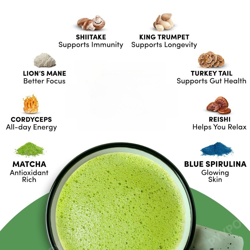 Organic Mushroom Matcha Supple – Lion Mane Mushroom recenzja i cena