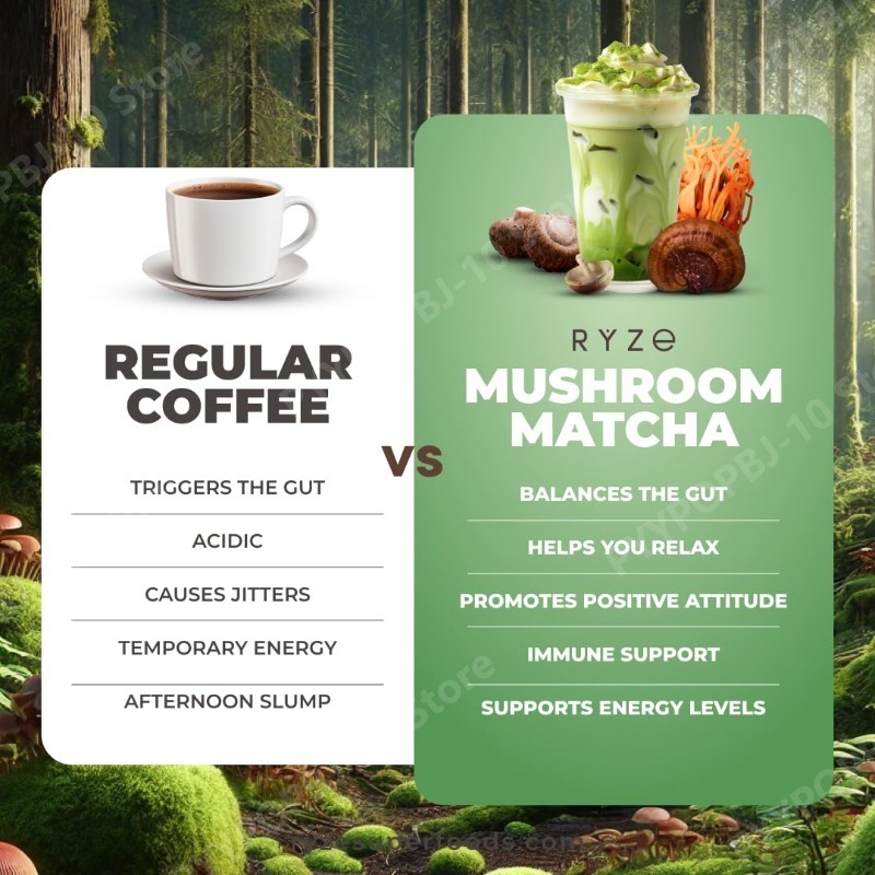 Organic Mushroom Matcha Supple – Lion Mane Mushroom recenzja i cena