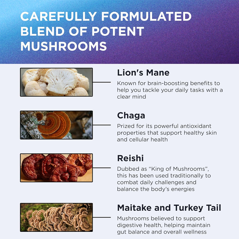 9000mg Organic Lion Mane Suppl – Lion Mane Mushroom recenzja i cena