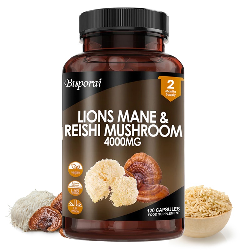 Lions Mane & Reishi Mushroom 4 – Lion Mane Mushroom recenzja i cena