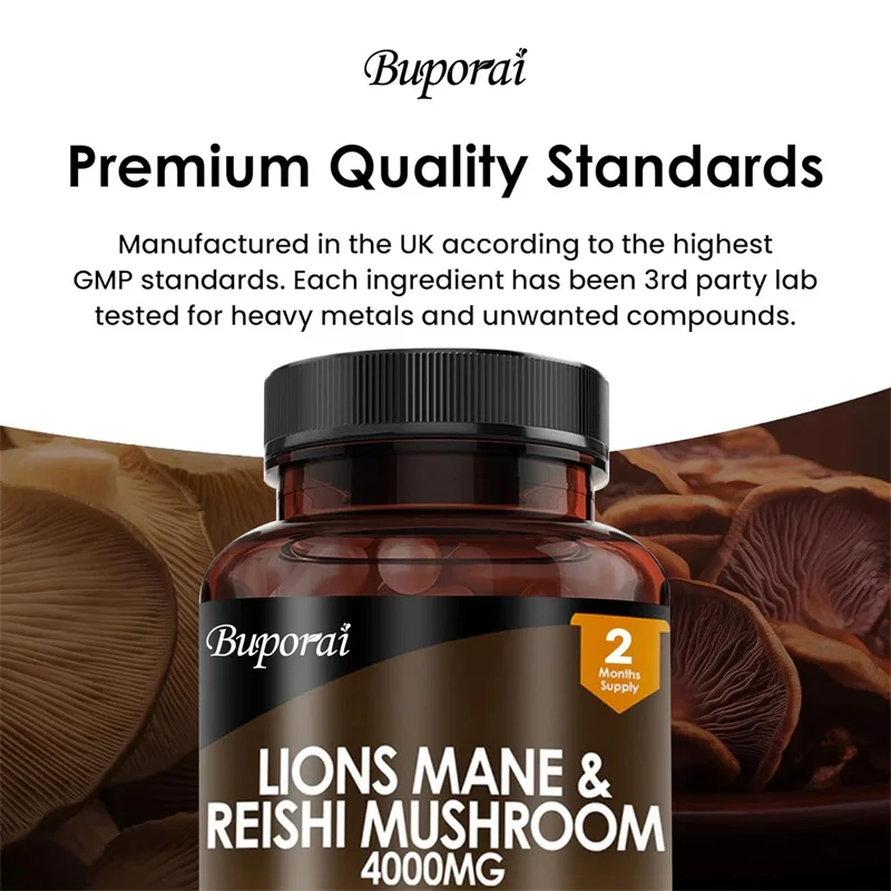 Lions Mane & Reishi Mushroom 4 – Lion Mane Mushroom recenzja i cena