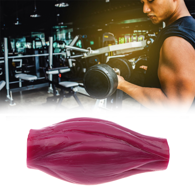 1lb Muscle to Keep Fit & Weigh – Nutrition Fitness Course recenzja i cena