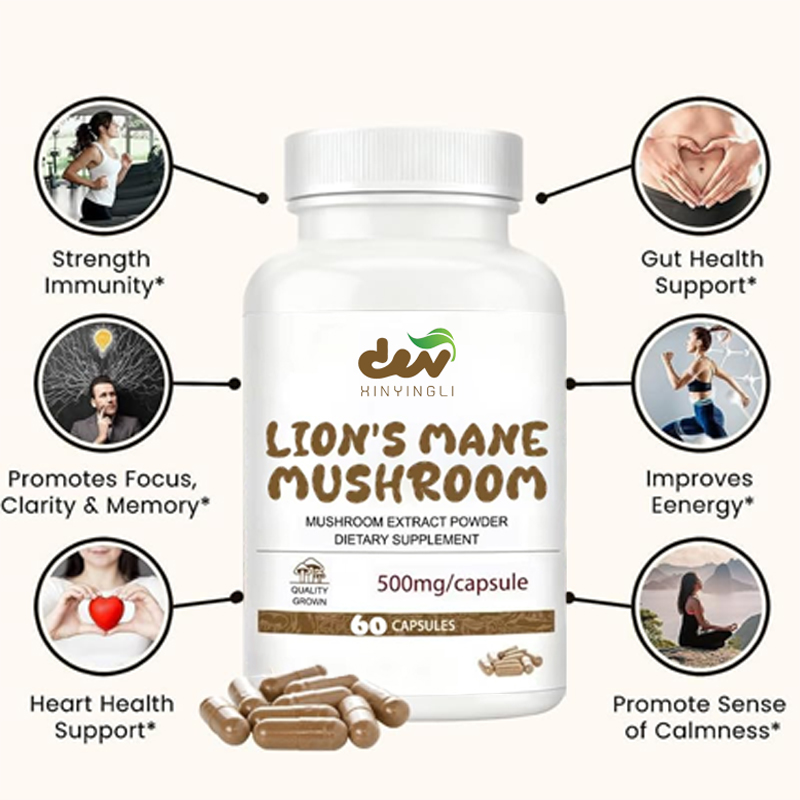 Lion Mane Mushroom Extract Cap – Lion Mane Mushroom recenzja i cena