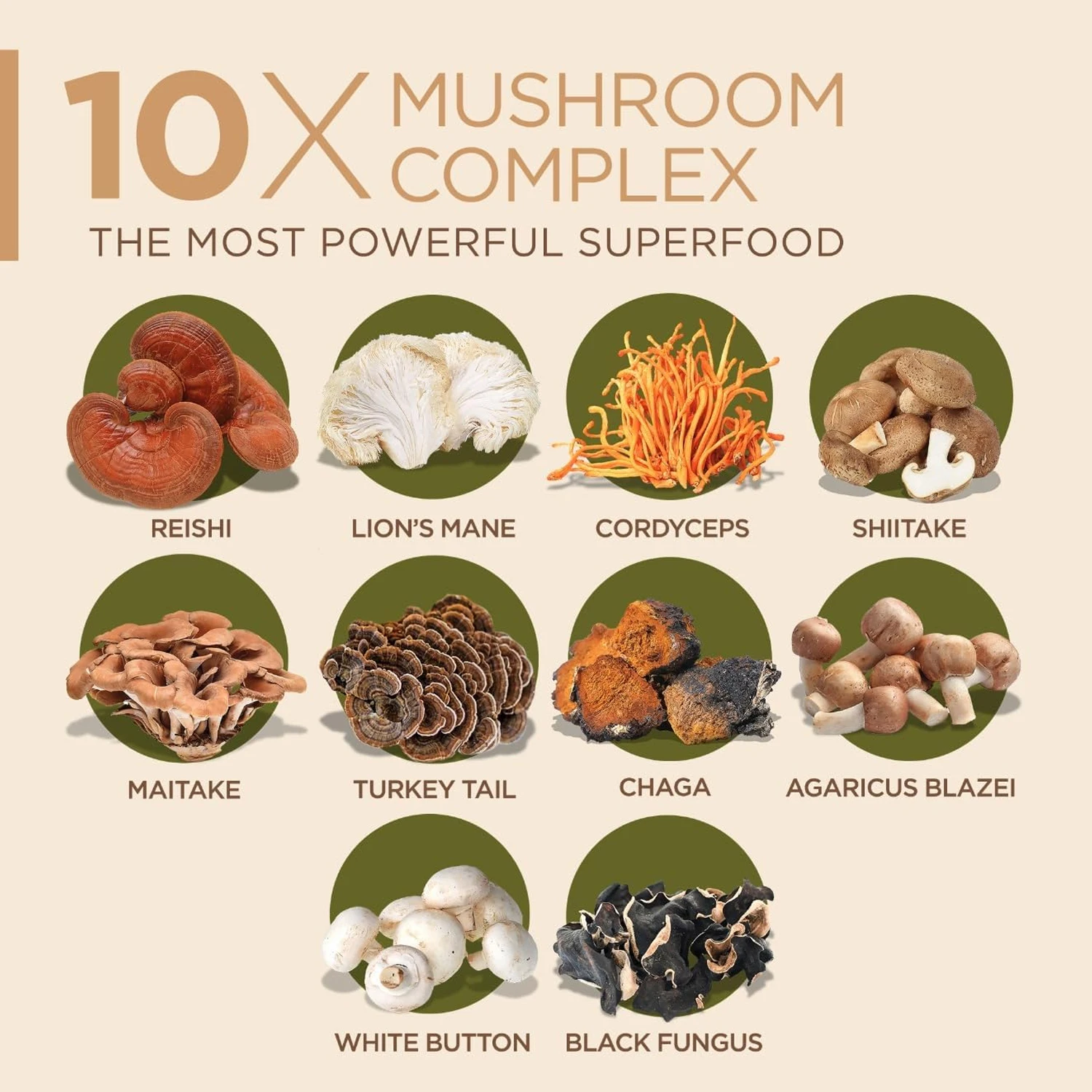 10x Mushroom Complex Capsules  – Lion Mane Mushroom recenzja i cena
