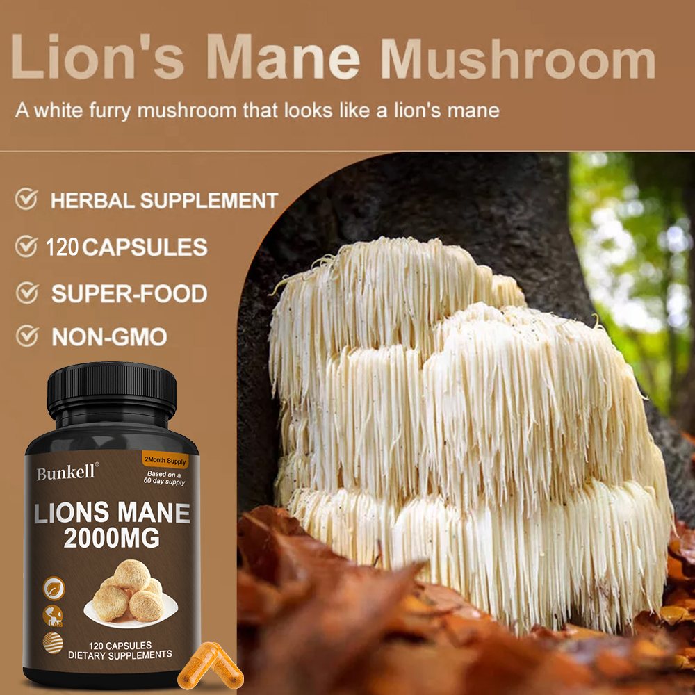 Organic Lions Mane Mushroom Ca – Lion Mane Mushroom recenzja i cena