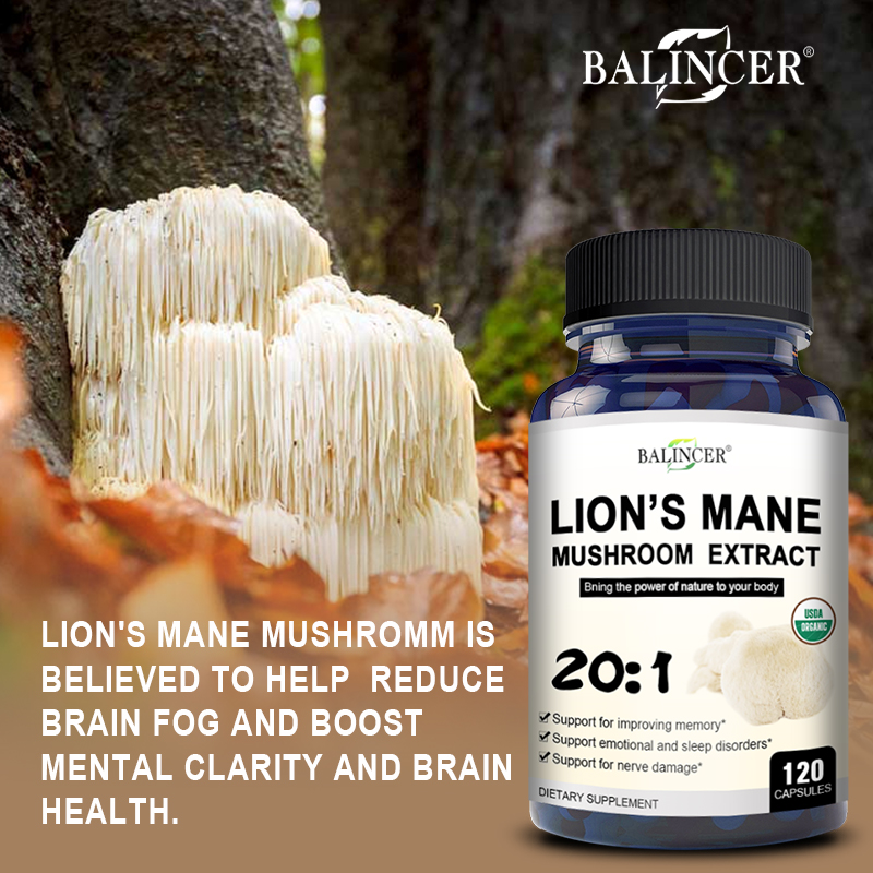 Lion's Mane - Nootropic Brain  – Lion Mane Mushroom recenzja i cena